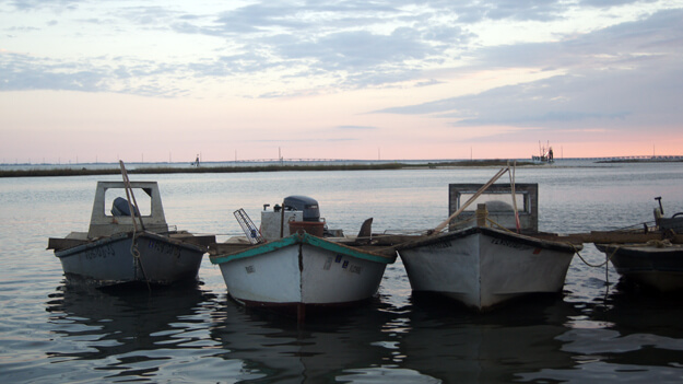 Photo of boats in the water