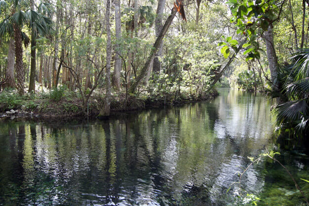 Photo of Silver springs