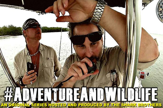 Advertisement for Adventure and Wildlife, a show by the Shark Brothers