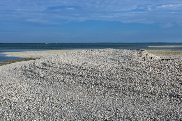Photo of Shell Key Beach