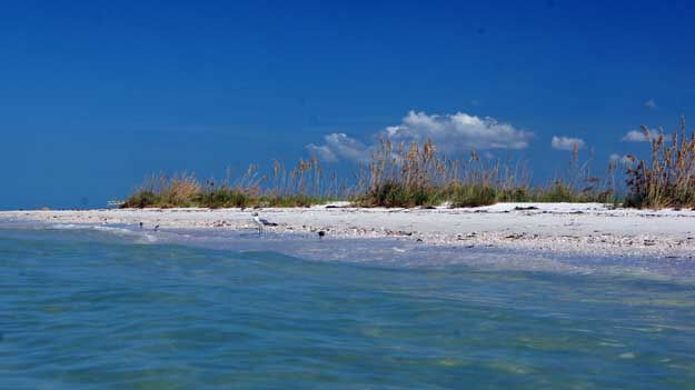 Shell Key Beach from the water