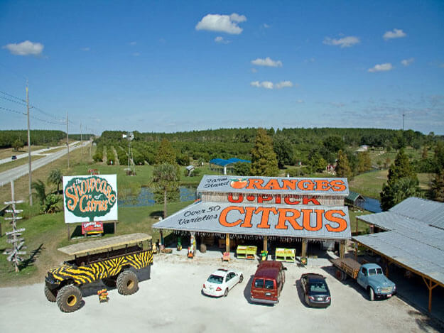 Photo of The showcase of Citrus, Clermont