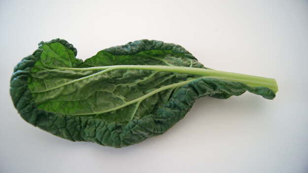Photo of a piece of kale