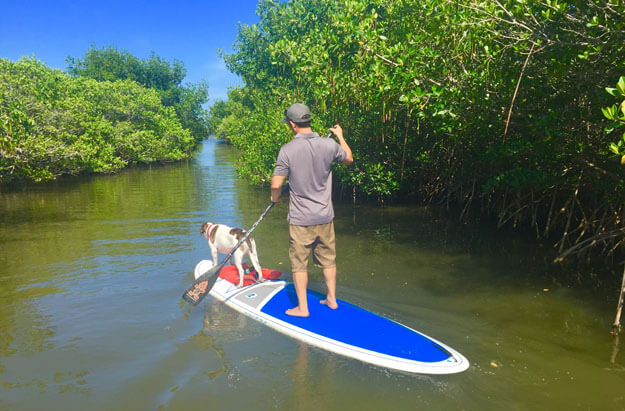 Photo of a man paddleboarding with a dog