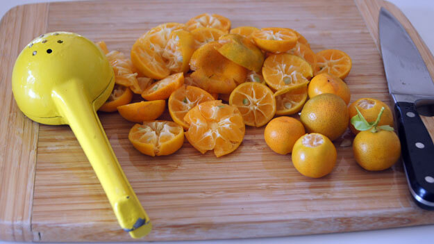 Photo of sour orange calomondins