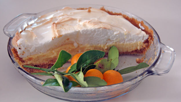 Photo of half of a Sour Orange Pie
