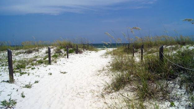 Photo of the beach at St George Island