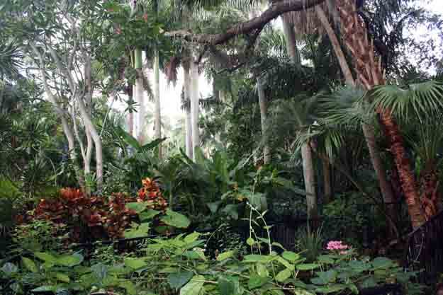 Trees and plants at Sunken Gardens