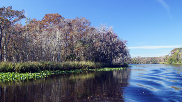 Photo of the Suwannee River
