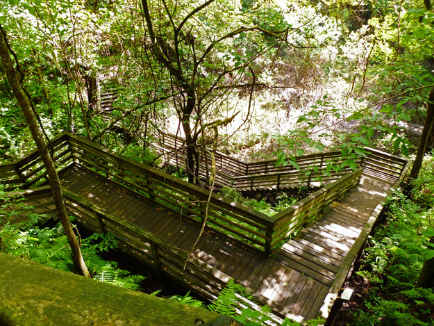 Photo of the Devils Millhopper staircase