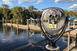 Things to do in Wakulla Springs viewmaster with glass bottomed boats