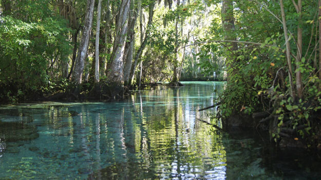 Photo of Three Sisters Springs, Citrus County