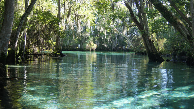 Three Sisters Springs, Citrus County. 