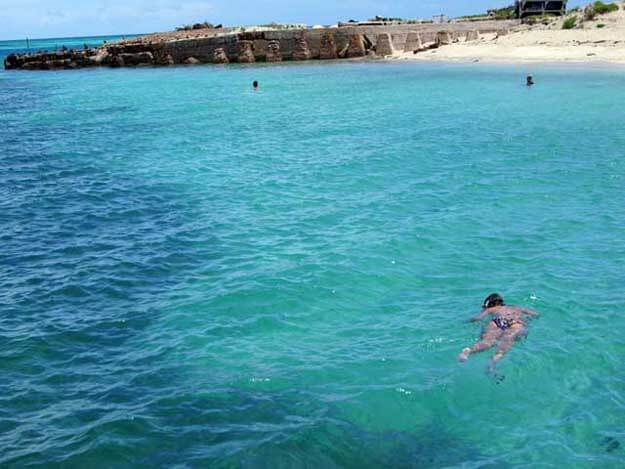 Photo of a swimmer snorkeling at Dry Tortugas