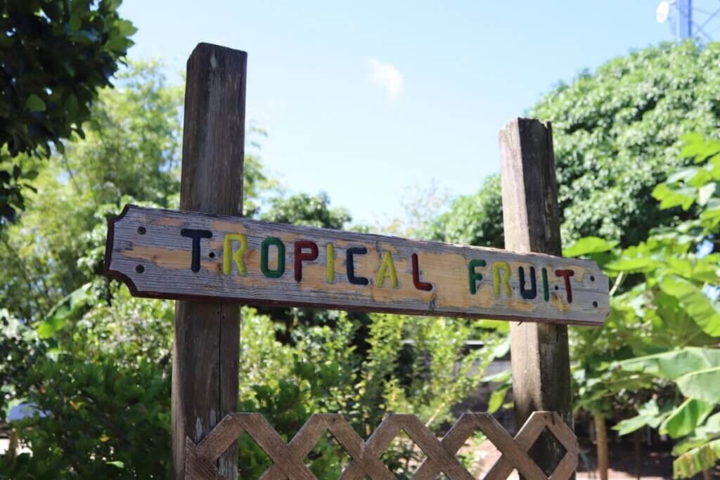 Tropical Fruit sign at Florida Botanical Garden
