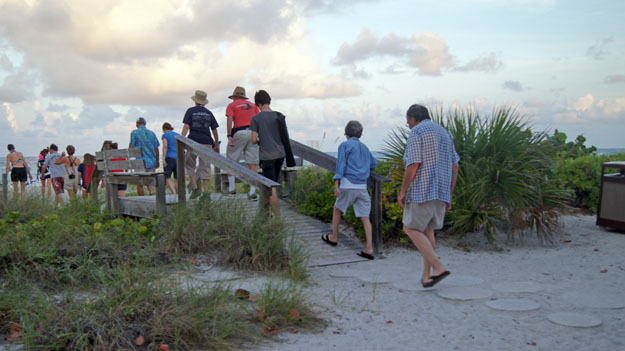 Photo of people going on a daytime sea turtle walk on the beach