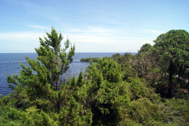Photo of the view at key vista