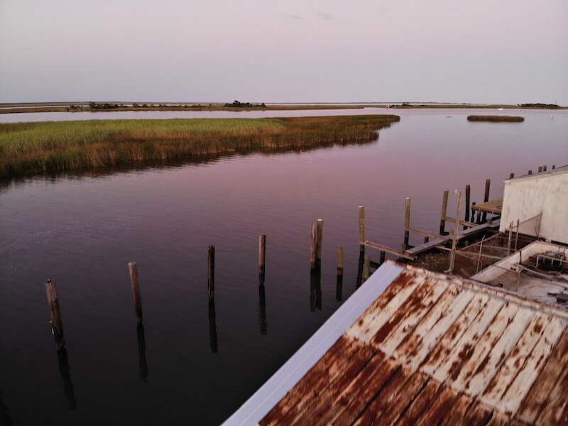 Photo of a marsh in Apalachicola