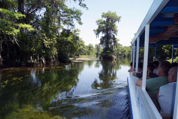Photo of a Jungle Cruise in Wakulla Springs