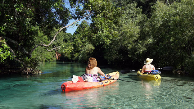 Photo of Weeki Wachee Springs State Park and River