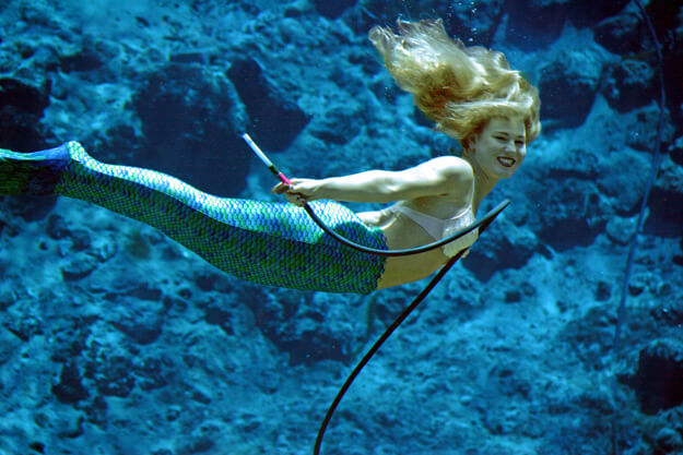 Weeki Wachee Mermaid one of the Florida mermaids you can see. 