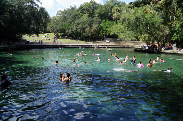 Photo of people swimming in the water at Wekiwa Springs