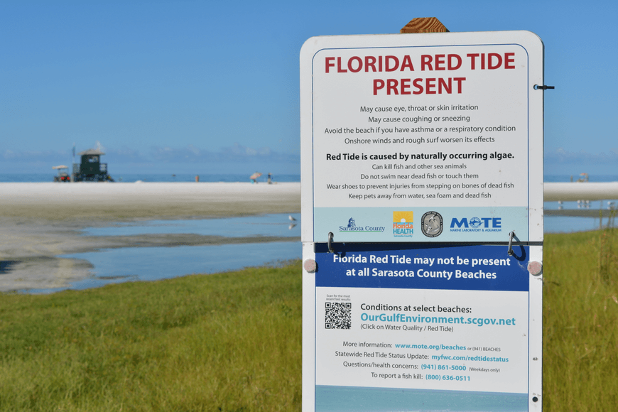 Photo of a sign warning of Red Tide