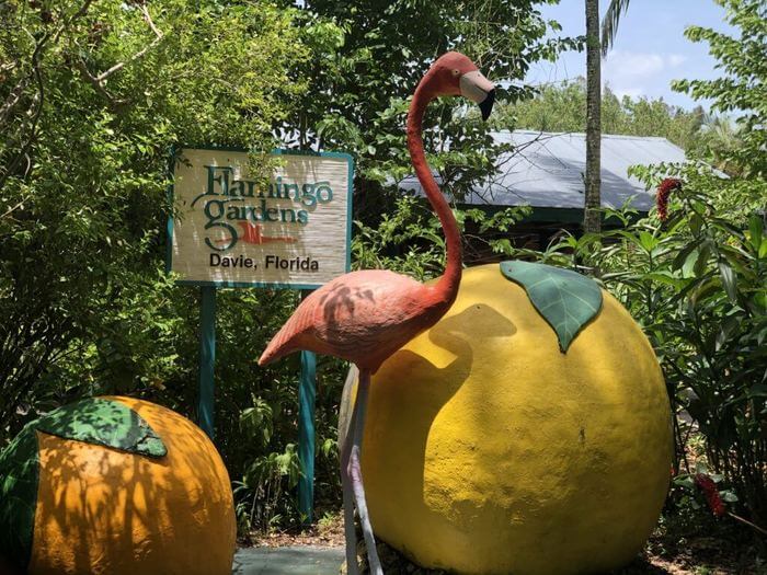 Flamingo Gardens Davie