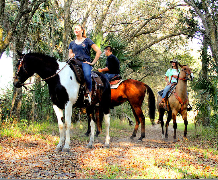 Photo of horseback riding at A&A Adventure Trail