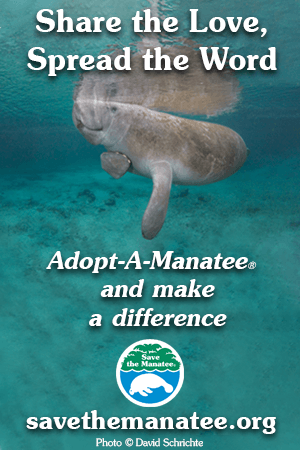 Advertisement for Save the Manatee