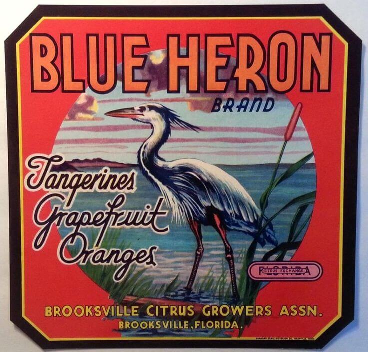 Blue Heron Citrus of Brooksville Label Art. 