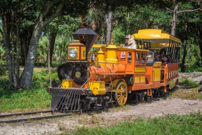 Photo of a train at the Brevard Zoo