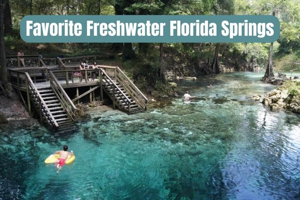 Favorite Freshwater Florida Springs in 2024