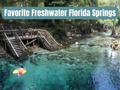 Our 19+ Favorite Freshwater Florida Springs in 2024