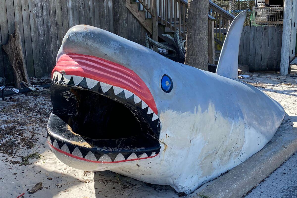 Fort Walton Beach vintage shark