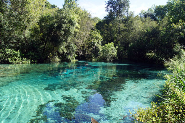 Guide to Springs in North Florida