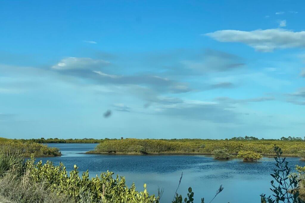 Merritt Island Wildlife Drive peaceful water 