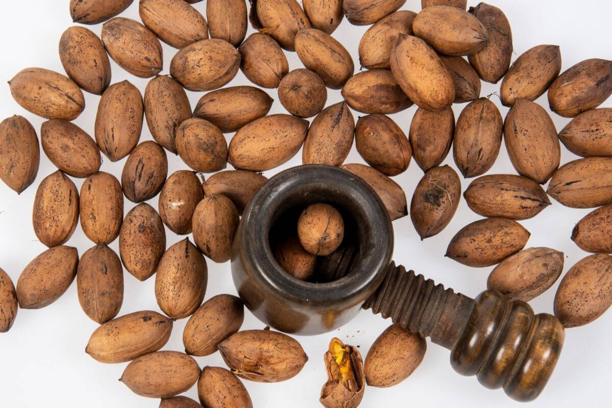 Pecan nuts with wooden nutcracker