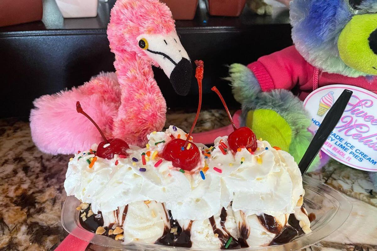 
Sweet Melissa's Ice Cream Sundae with Flamingo