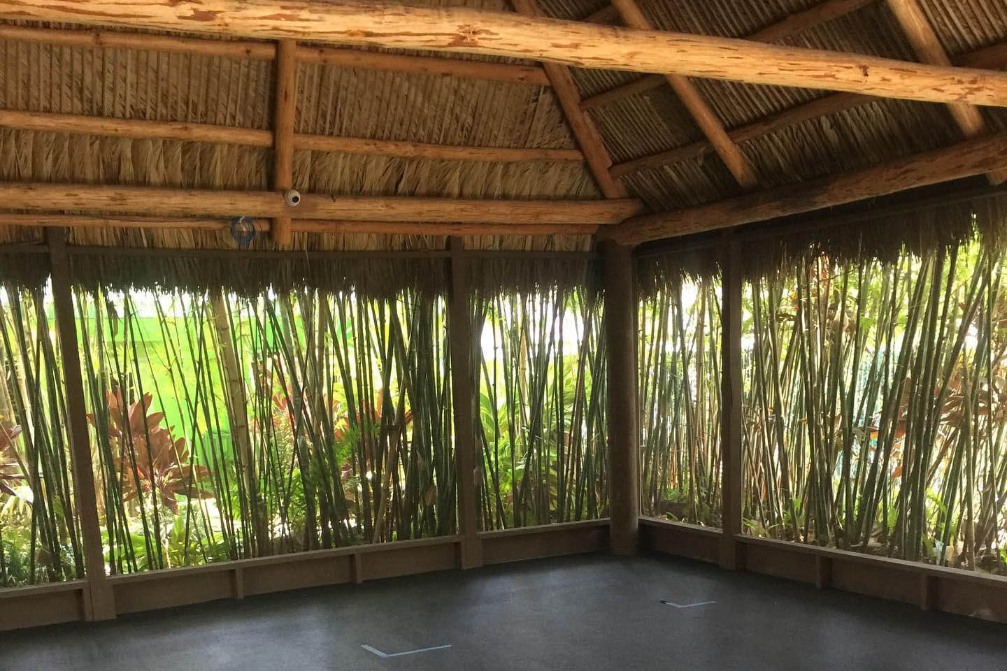 Home - Bamboo Garden Yoga