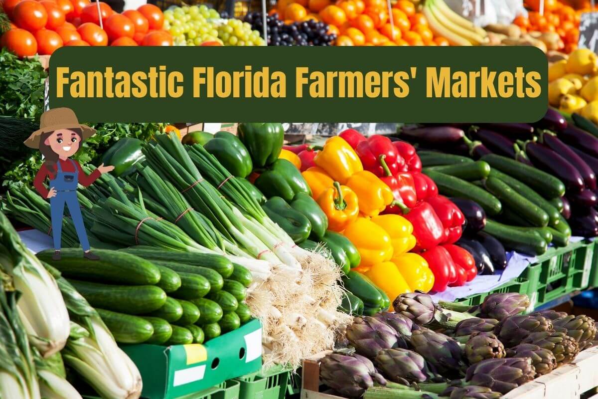 Fantastic Florida Farmers' Markets