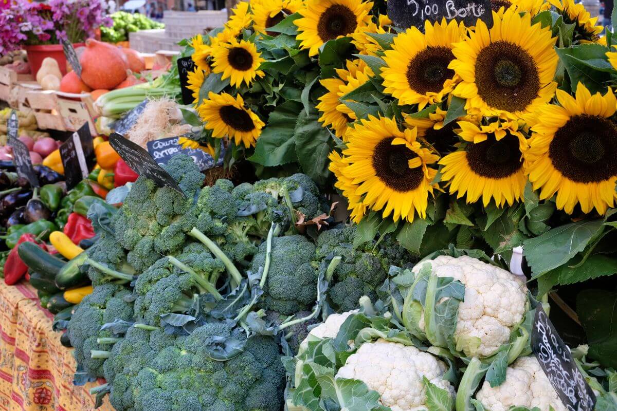 Florida Farmers Market sunflowers and vegetables.