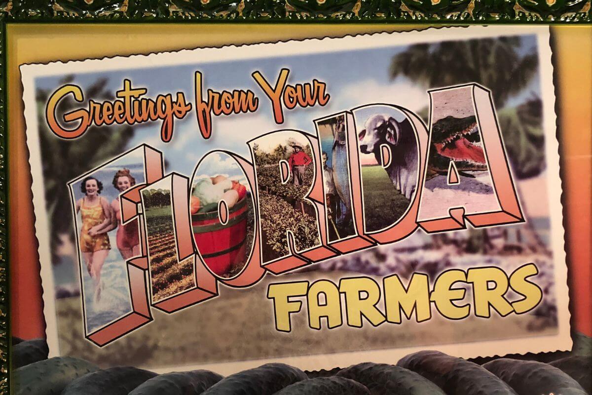 Florida Farmers postcard art by Fresh from Florida.