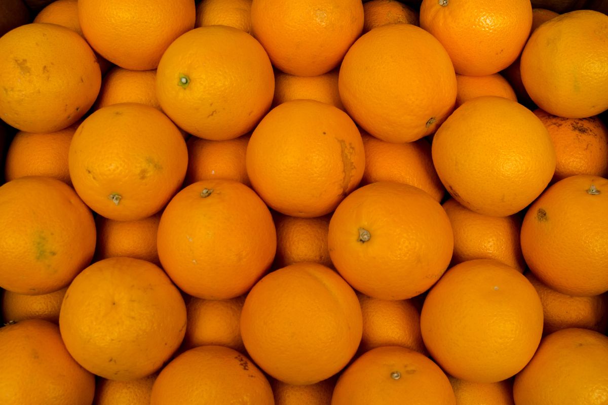 Florida oranges at farmers market.