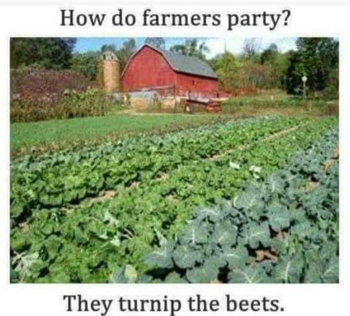 How do farmers party? They turnip the beets.