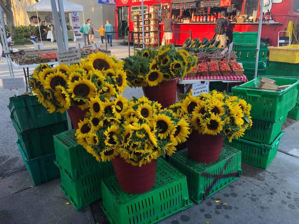 Sunflowers at a Florida Farmer's Market.