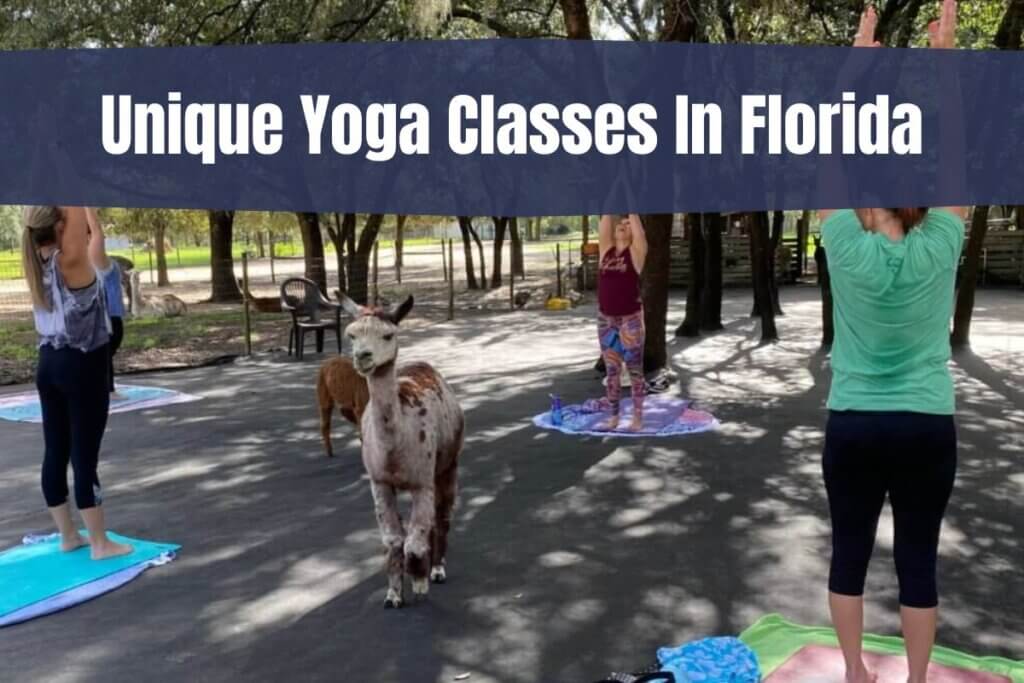 7 Unique Yoga Classes In Florida to Check Out &bull; Authentic Florida