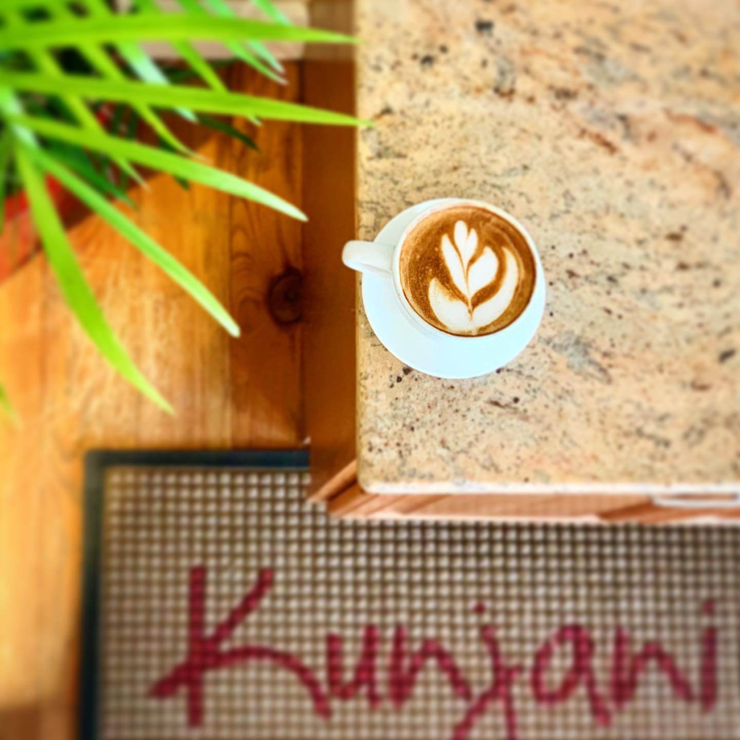 Coffee at Kunjani Craft Coffee in Naples Florida.