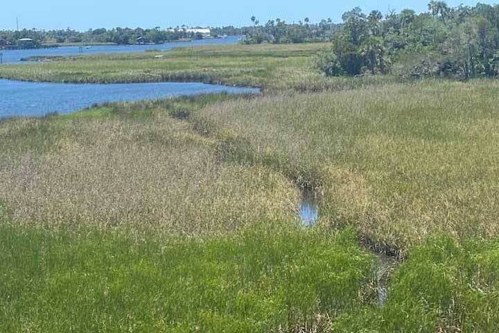 Crystal River Archaeological State Park Marsh
