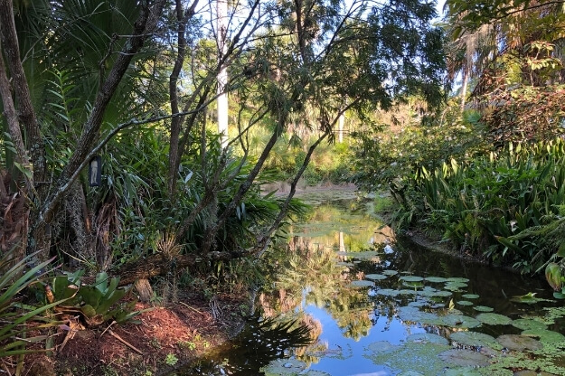 Photo of water at the McKee Botanical Gardens